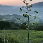 Assisi Countryhouse * Assisi
