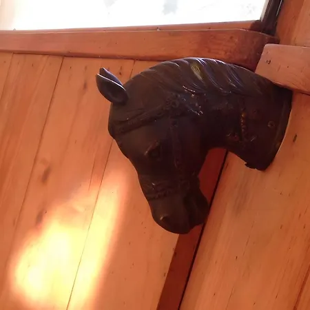 Assisi Countryhouse *