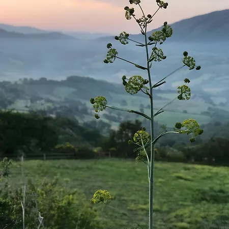 Assisi Countryhouse * Assisi