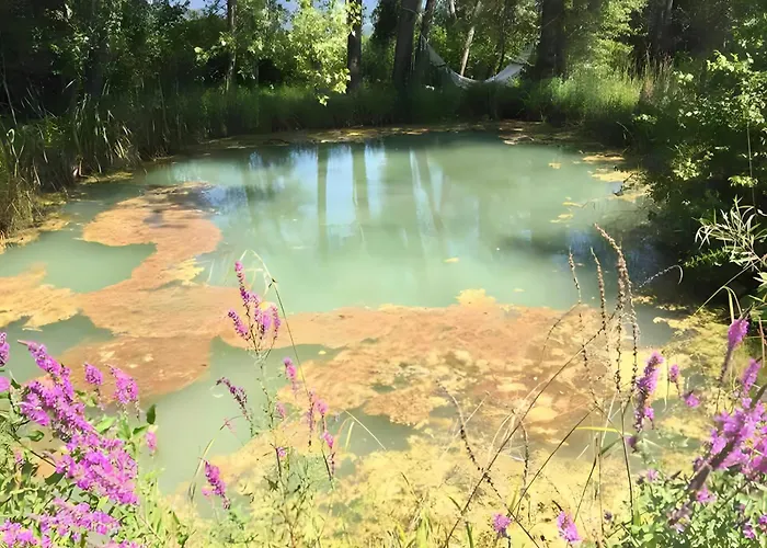 农家乐 Assisi Countryhouse 阿西西