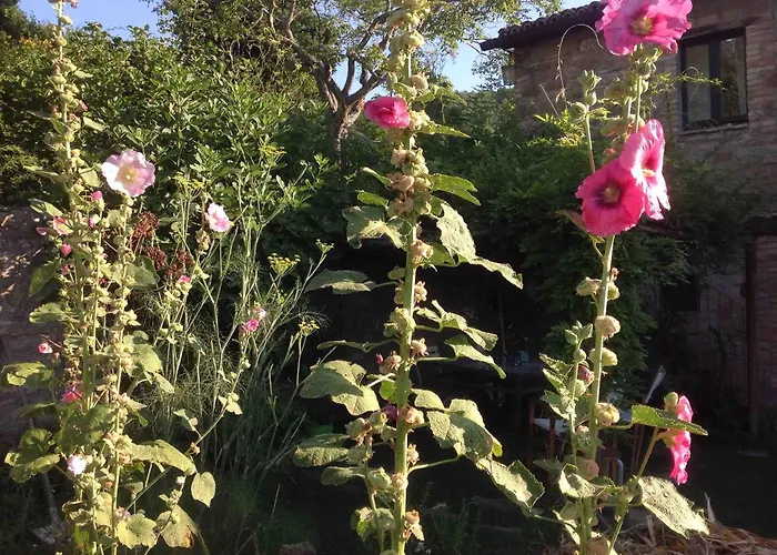 Assisi Countryhouse *