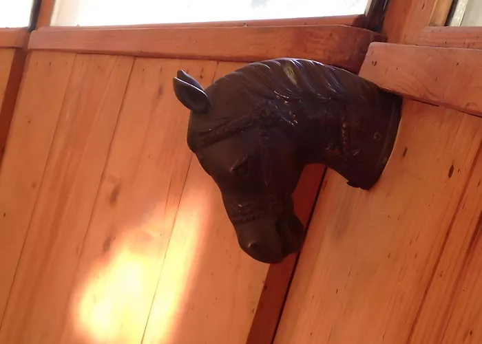 Assisi Countryhouse *