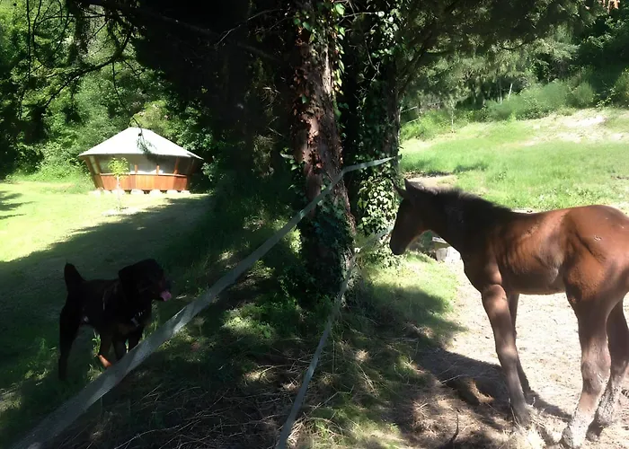 Assisi Countryhouse Assisi