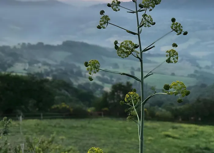 Assisi Countryhouse * 阿西西